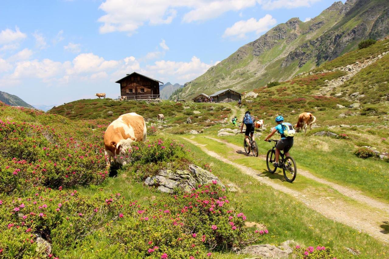 Rohrmooser Schloessl Schladming Exterior photo